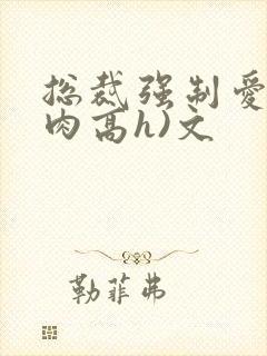 总裁强制爱(巨肉高h)文