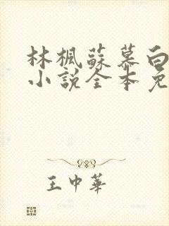 林枫苏慕白穿越小说全本免费阅读1057