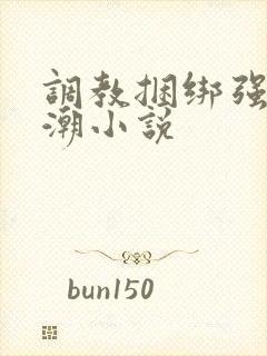 调教捆绑强制高潮小说封面