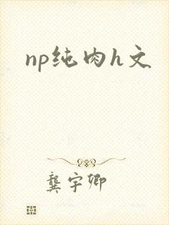 np纯肉h文