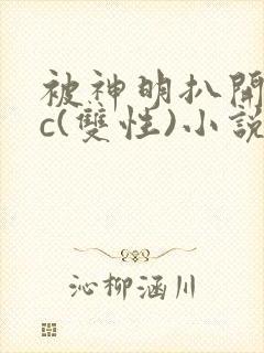 被神明扒开腿狂c(双性)小说