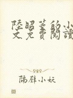 陆昭菱的小说全文免费阅读