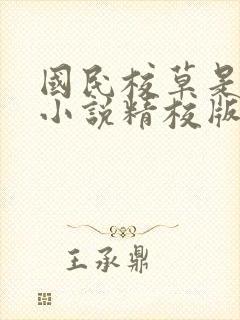 国民校草是女生小说精校版阅读封面