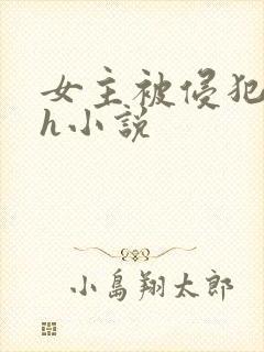 女主被侵犯的高h小说