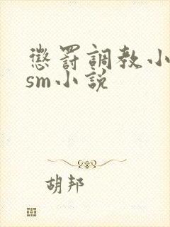 惩罚调教小母狗sm小说