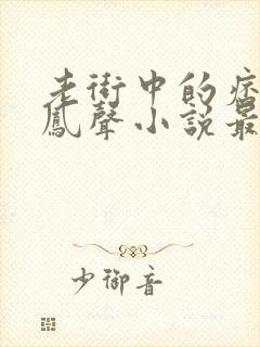 老街中的痞子赵凤声小说最新章节阅读