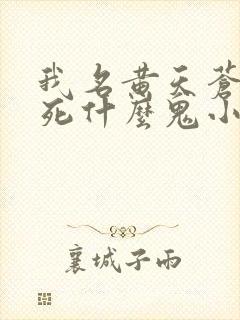 我名黄天苍天已死什么鬼小说笔趣阁无删减