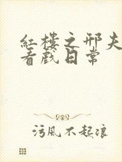 红楼之邢夫人的看戏日常封面