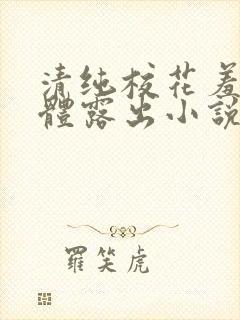 清纯校花羞耻裸体露出小说