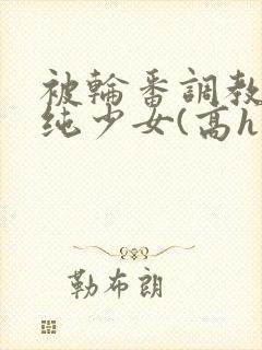 被轮番调教的清纯少女(高h