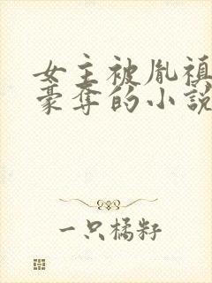 女主被胤禛强取豪夺的小说