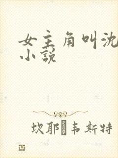 女主角叫沈薇的小说