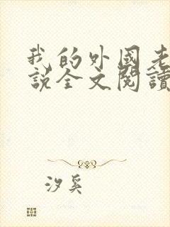 我的外国老婆小说全文阅读
