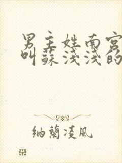 男主姓南宫女主叫苏浅浅的小说