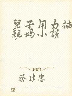 儿子用力插你的亲妈小说