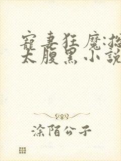 宠妻狂魔:总裁太腹黑小说