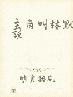 主角叫林默的小说