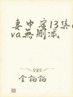 妻中蜜13集ova无删减