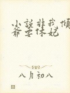 小说非我倾城王爷要休妃封面