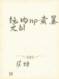 纯肉np黄暴h文bl