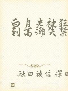 白月光被狂c躁到高潮失禁封面