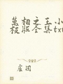 万相之王小说精校版全集txt