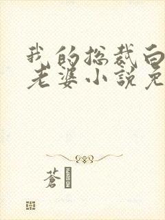 我的总裁白富美老婆小说免费讲述