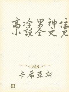 高冷男神住隔壁小说全文免费阅读