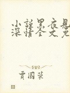 小说黑夜见过他深情全文免费阅读