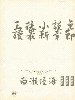 王扶小说免费阅读最新章节无弹窗