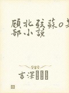 顾北弦苏o是哪部小说