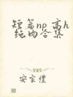 短篇np 高h 纯肉合集