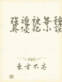 强迫被各种性器具侵犯小说封面