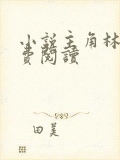 小说主角林凡免费阅读