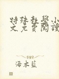 特殊教学小说全文免费阅读无弹窗封面