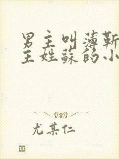 男主叫薄靳言女主姓苏的小说