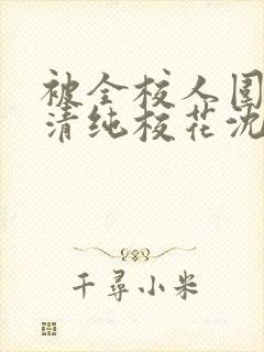 被全校人围观的清纯校花沈清清小说