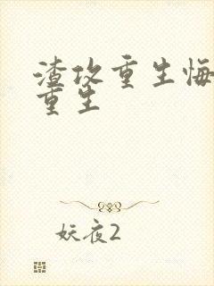 渣攻重生悔悟双重生封面