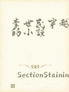 李世民穿越赵构的小说