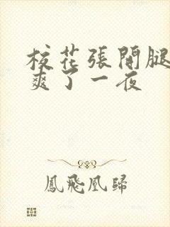 校花张开腿让我爽了一夜