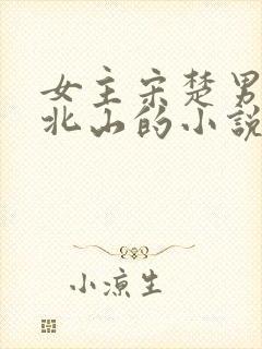 女主宋楚男主陆北山的小说