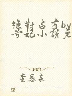 绝对占有by妖兮妃小说免费阅读全文