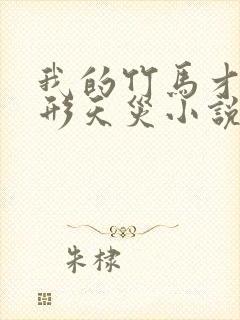 我的竹马才是人形天灾小说免费阅读封面