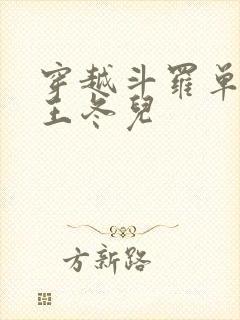 穿越斗罗单女主王冬儿