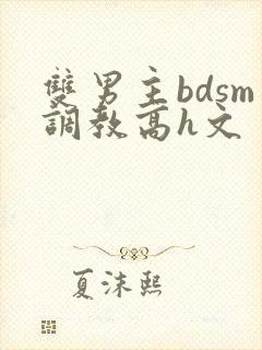 双男主bdsm调教高h文