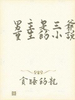 男主是三爷女主重生的小说