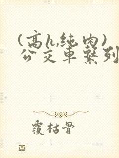 (高h,纯肉)公交车系列