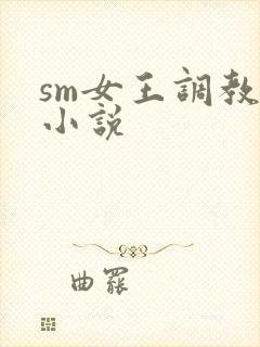 sm女王调教的小说