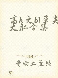 高h文bl孕夫大肚合集