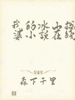 我的冰山总裁老婆小说在线